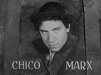 Monkey Business Chico