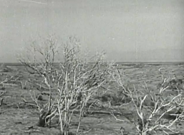 This is the scene post-locusts, which I have no idea is real or faked. So, good on you, movie, for having the rare scene where things are difficult to determine.