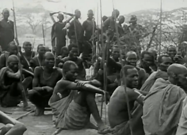 Real Africa! 