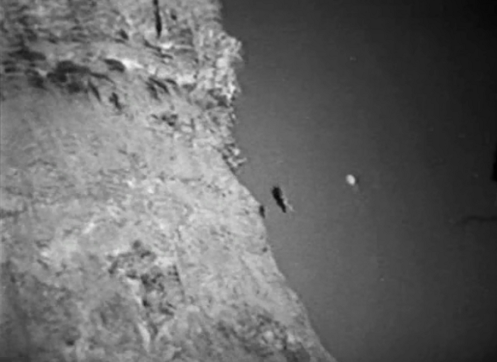 At one point Flash and a tribesman fall off a cliff together. The tribesman dies and Flash walks away-- with a slight limp! Badass dog.