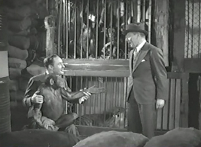 "Just put your wiener in the monkey's hand, man. It'll be hilarious!"