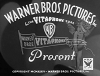 Warner small