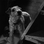 ThinMan32
