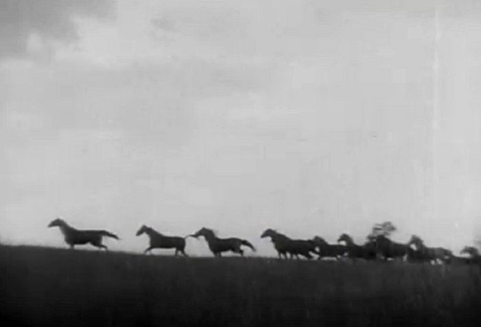 Sporting Blood (1931)