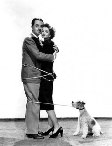 powell-loy-asta-shadow_opt
