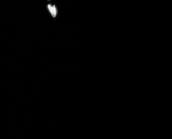 BelleNinetiesGif2