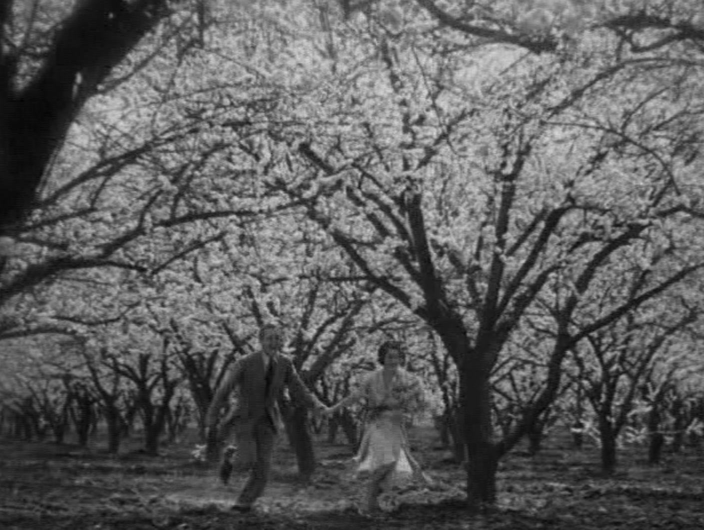 Strange Interlude 1932 pre-code norma shearer