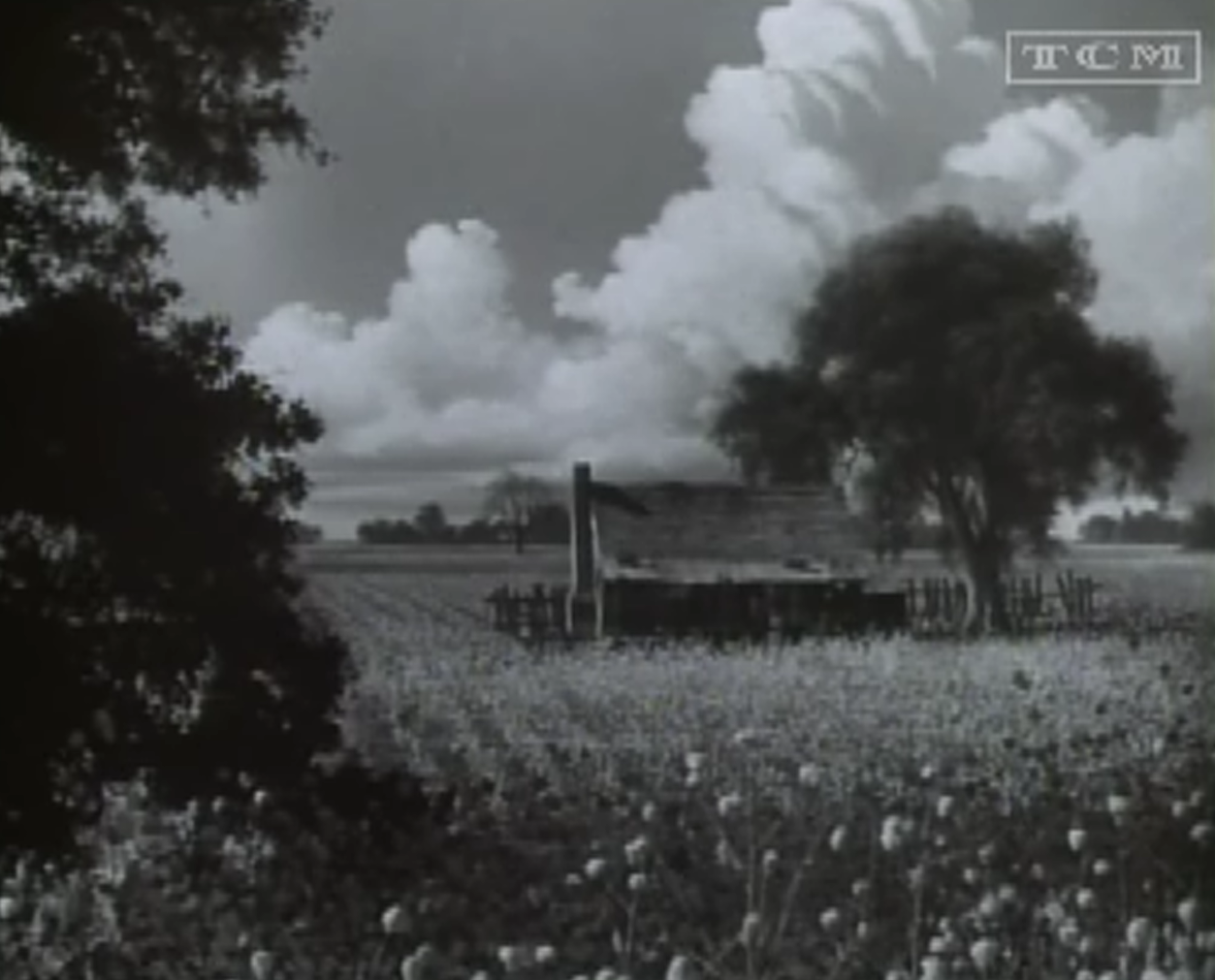 Cabin in the Cotton (1932) Review, with Richard Barthelmess and Bette Davis