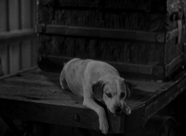 Big City Blues 1932 Joan Blondell