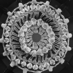 42nd Street 1933 Ruby Keeler Bebe Daniels Warner Baxter